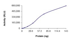 Sino Biological&nbsp;Recombinant Human EGFR Protein (D770GY, GST Tag), Active